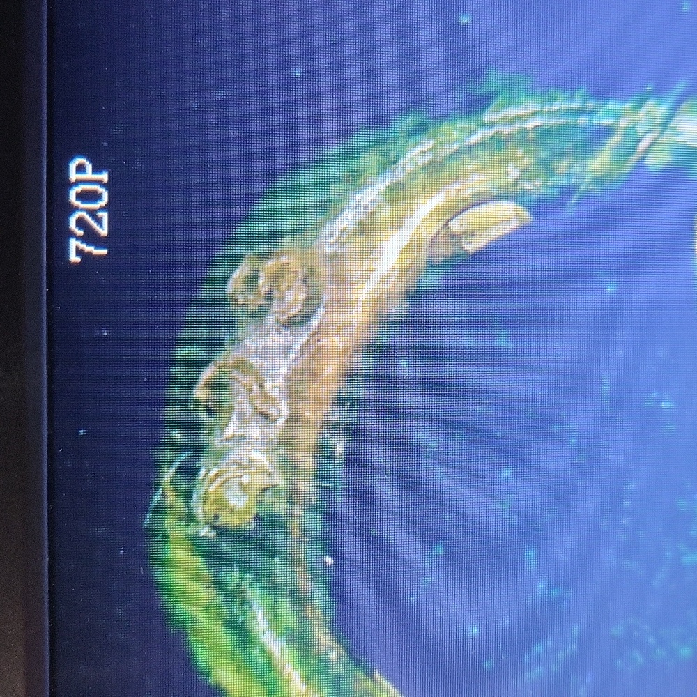 Brushstroke - image 2